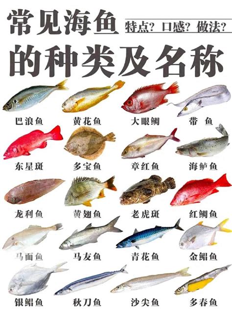 龍魚種類|龍魚這麼多種該怎麼分類？認識龍魚間的血緣與各產地 